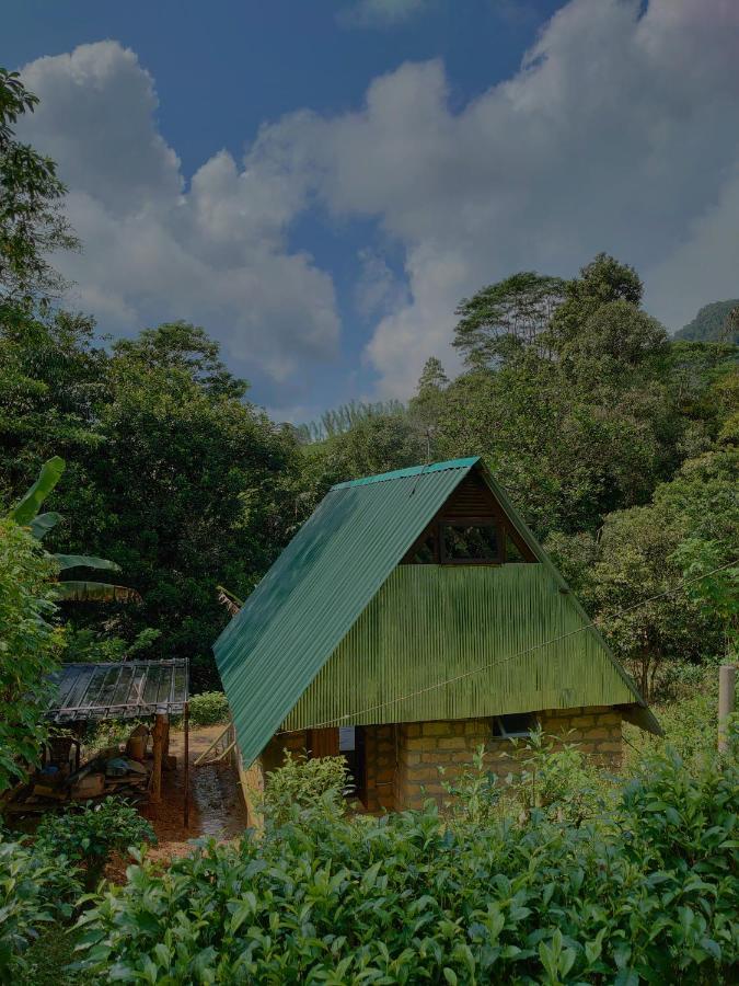 Rainforest Cabin Deniyaya Eksteriør billede