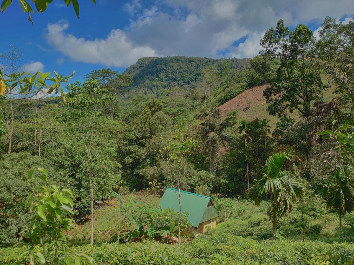 Rainforest Cabin Deniyaya Eksteriør billede