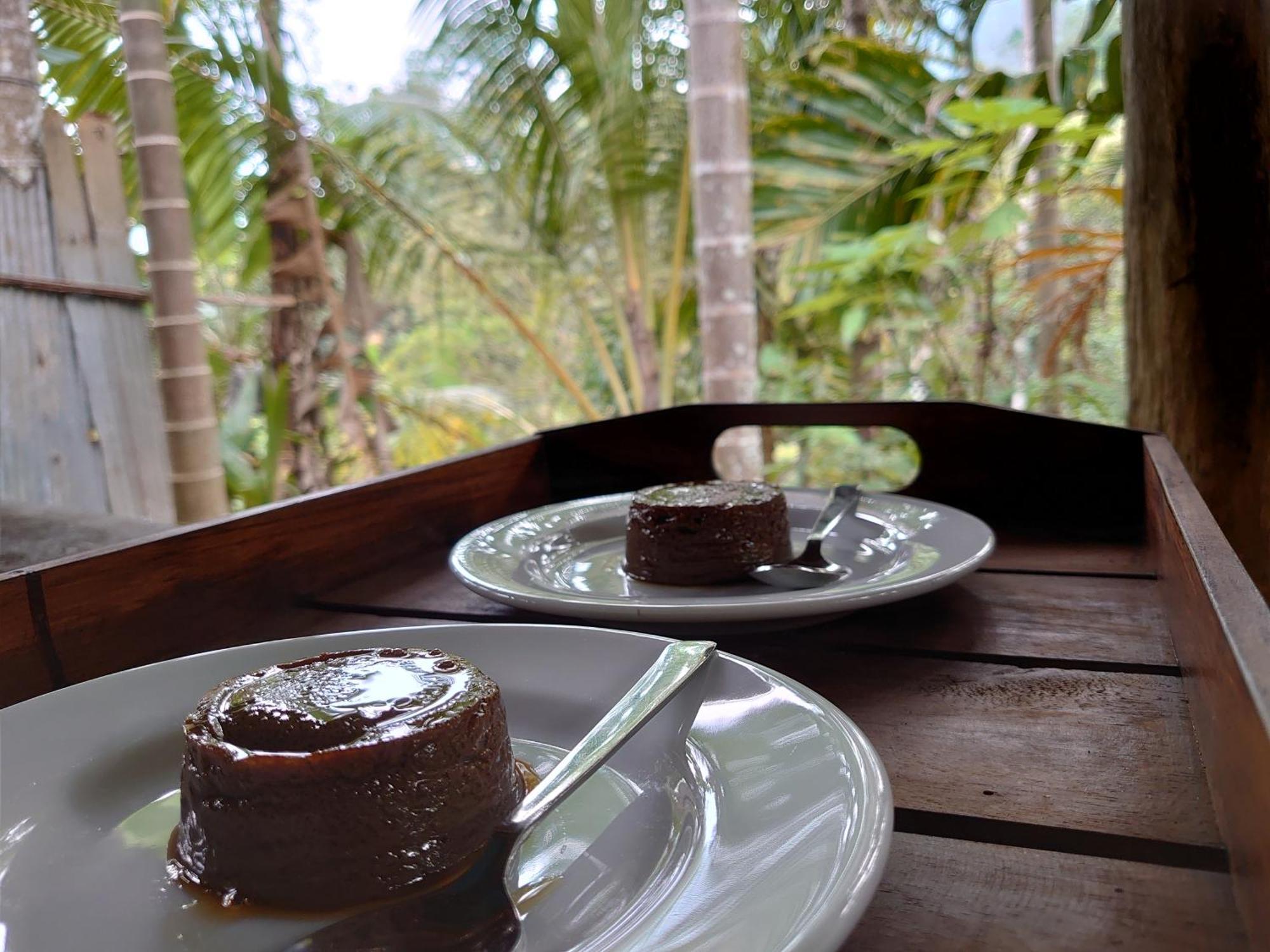 Rainforest Cabin Deniyaya Eksteriør billede