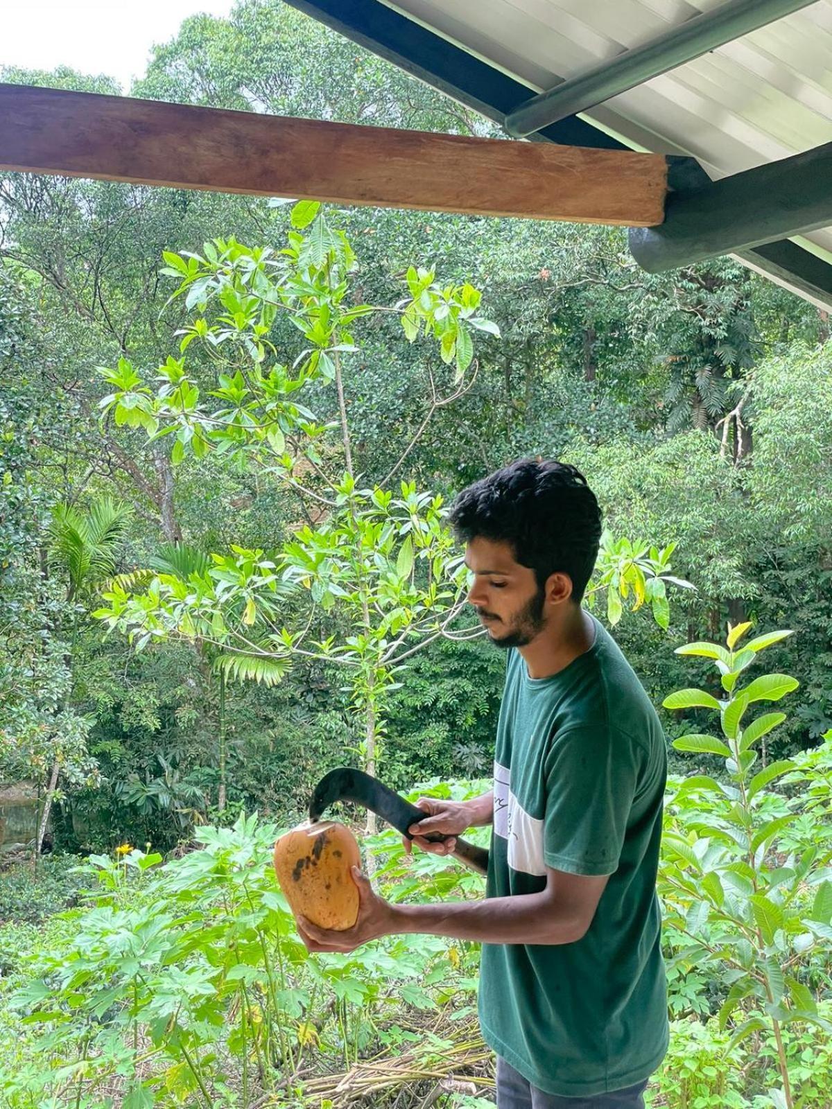 Rainforest Cabin Deniyaya Eksteriør billede