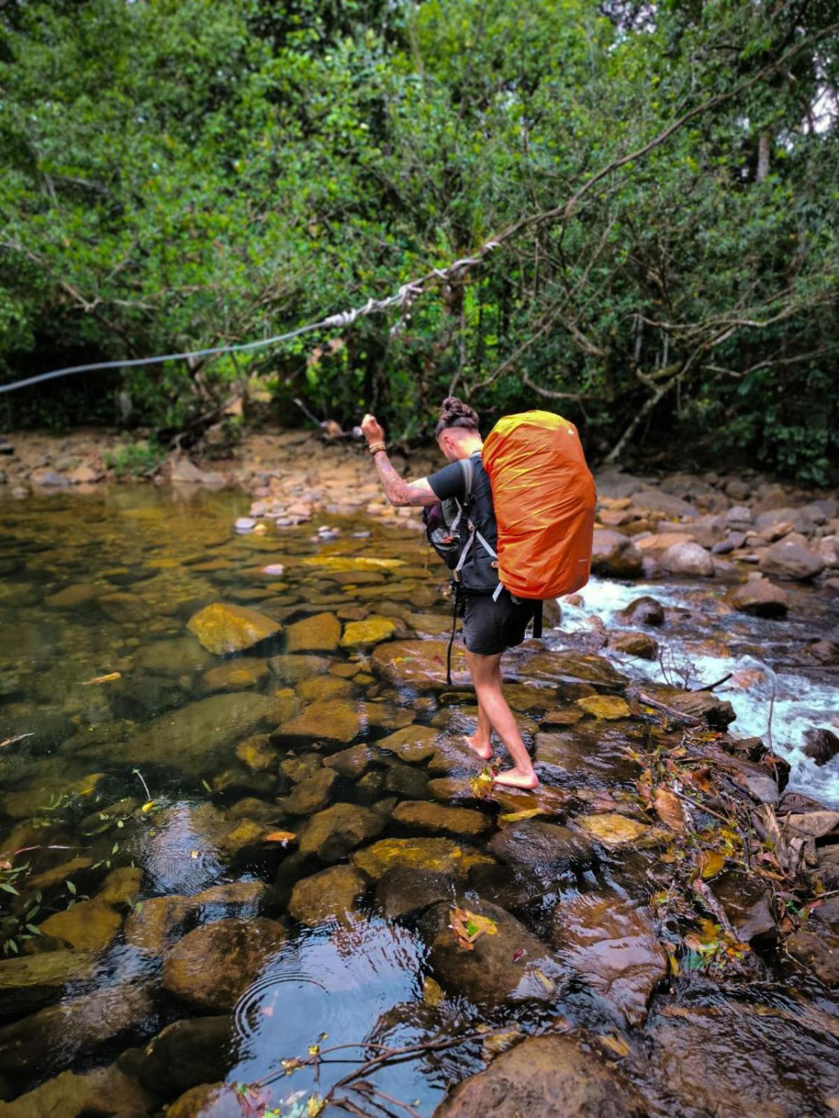 Rainforest Cabin Deniyaya Eksteriør billede