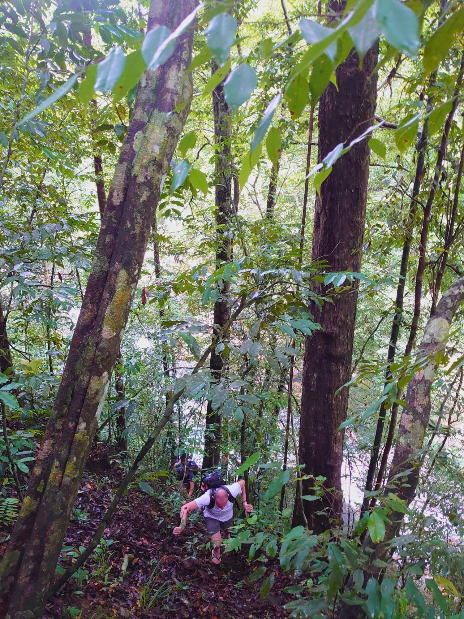 Rainforest Cabin Deniyaya Eksteriør billede