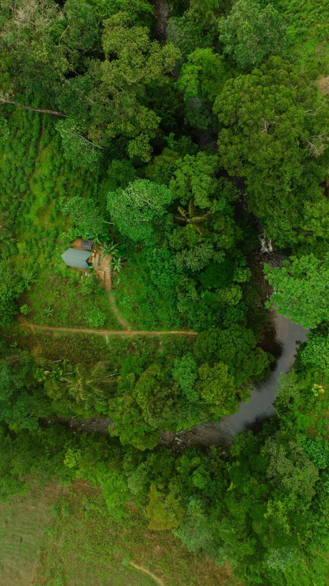 Rainforest Cabin Deniyaya Eksteriør billede