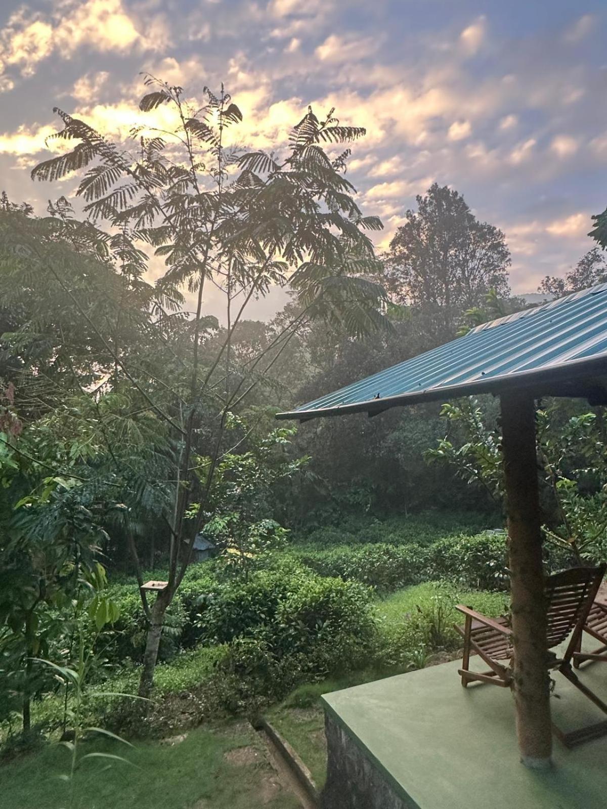 Rainforest Cabin Deniyaya Værelse billede