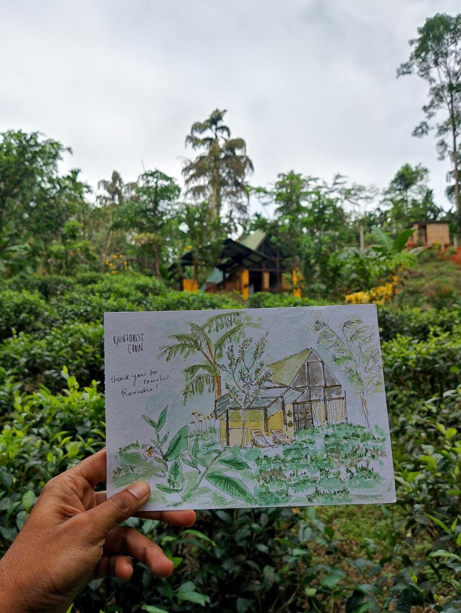 Rainforest Cabin Deniyaya Eksteriør billede